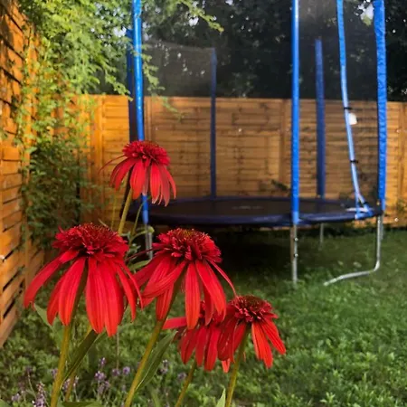 Negy Evszak Apartmanhaz Lägenhet *